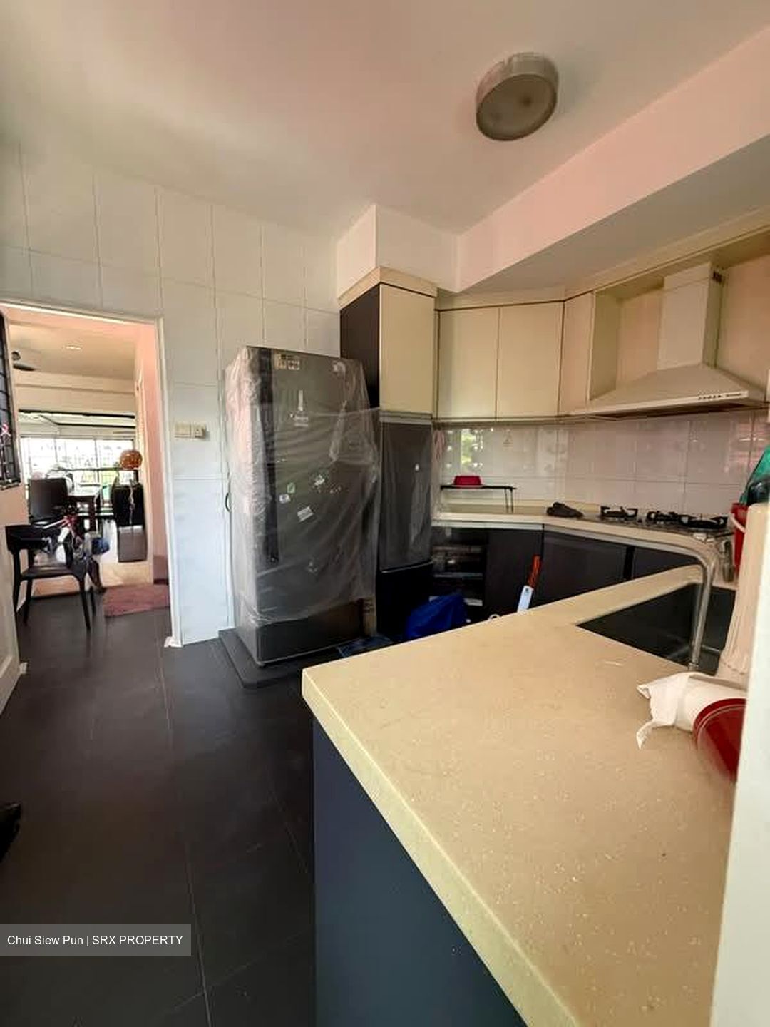 Mimosa Park (D28), Condominium #602963651